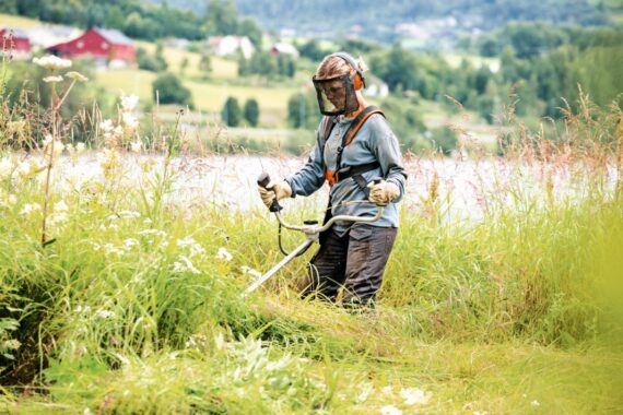 Débroussailleuse FS240 STIHL