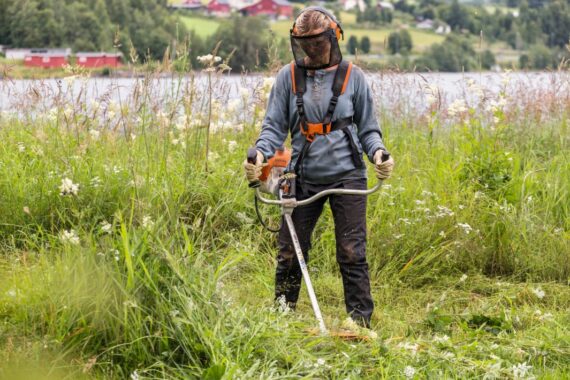 Débroussailleuse FS240 STIHL